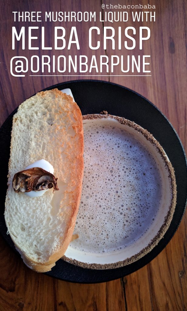 orion baner baconbaba mushroom